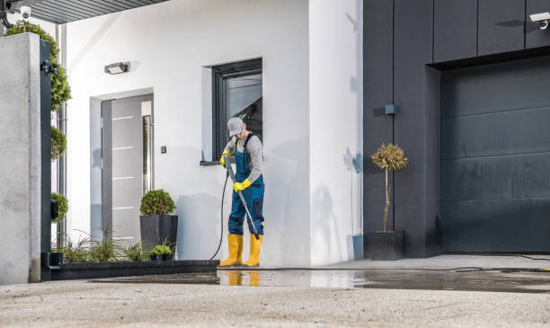 Best Solar Panel Cleaning  in West Pensacola, FL